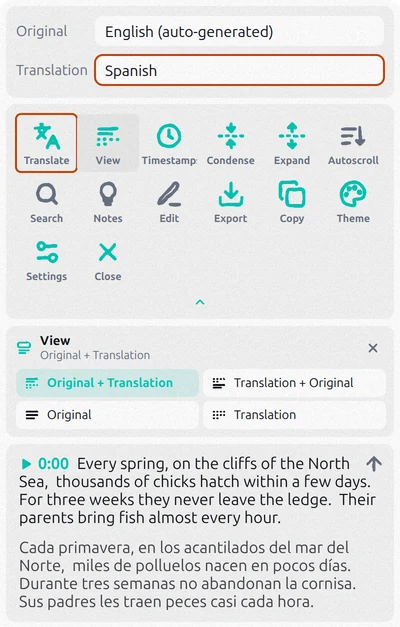 Transcript for YouTube panel with Translate turned on, Spanish chosen as the translation language and the View options open