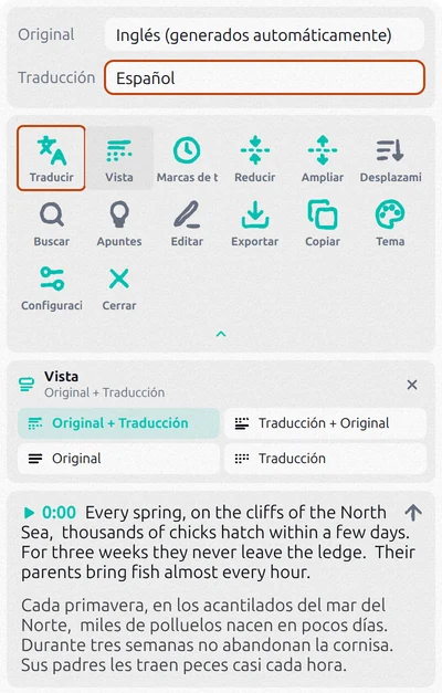 Panel de Transcript for YouTube con Traducir activado, español como idioma de traducción y las opciones de Vista abiertas