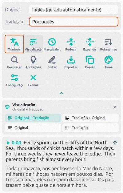 Painel do Transcript for YouTube com Traduzir ativado, português como idioma da tradução e as opções de Visualização abertas