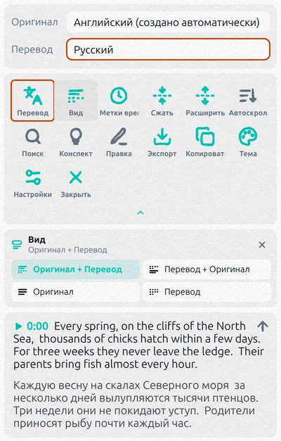 Панель Transcript for YouTube: перевод включён, язык перевода — русский, открыты варианты вида
