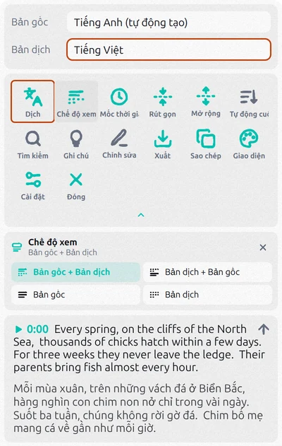 Bảng Transcript for YouTube với Dịch đang bật, tiếng Việt là ngôn ngữ dịch và các tùy chọn Chế độ xem đang mở