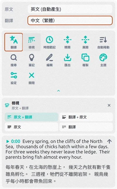 Transcript for YouTube 面板：已開啟翻譯，翻譯語言選了中文（繁體），檢視選項已展開
