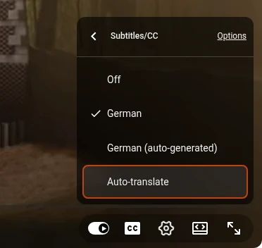 The Subtitles/CC menu of the YouTube player with the video’s subtitle tracks and Auto-translate at the bottom
