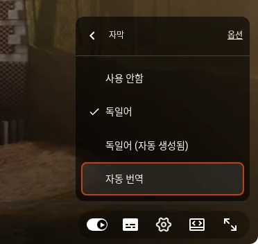 유튜브 플레이어의 자막 메뉴, 영상의 자막 트랙과 맨 아래 자동 번역 항목