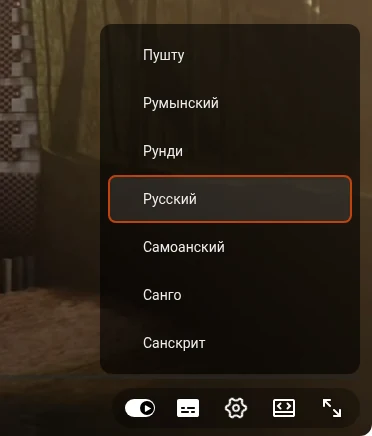 Список языков перевода в плеере YouTube, «Русский» выделен