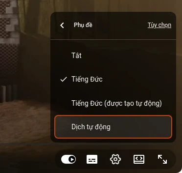 Menu Phụ đề của trình phát YouTube với các bản phụ đề của video và mục Dịch tự động ở cuối