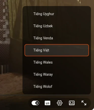Danh sách ngôn ngữ của Dịch tự động trong trình phát YouTube, Tiếng Việt được đánh dấu