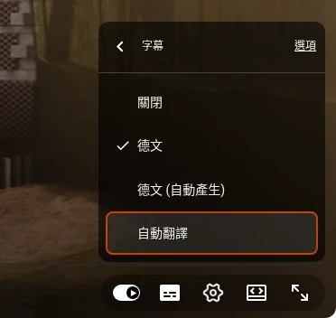 YouTube 播放器的字幕選單，列出影片的字幕軌，最下方是自動翻譯