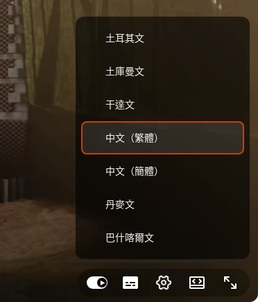 YouTube 播放器中自動翻譯的語言清單，中文（繁體）被標示出來