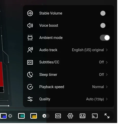 YouTube player settings menu with the Audio track item