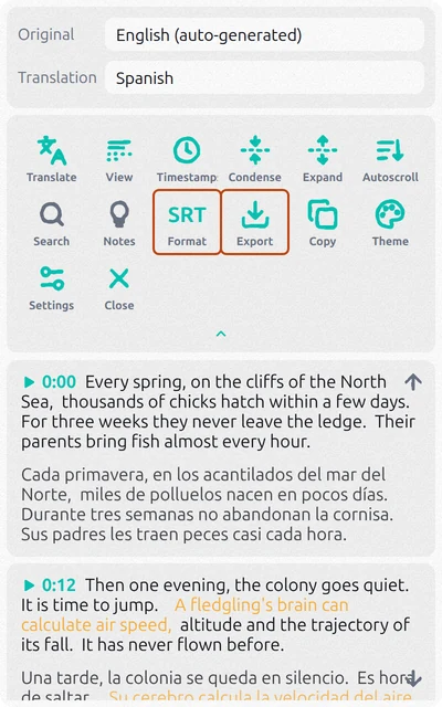 Subtitles Tool panel with English subtitles, a Spanish translation and the Format and Export buttons highlighted