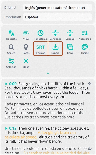 Panel de Subtitles Tool con subtítulos en inglés, traducción al español y los botones Formato y Exportar resaltados