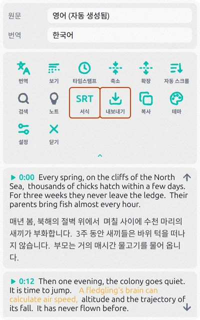 영어 자막과 한국어 번역, 강조 표시된 서식·내보내기 버튼이 있는 Subtitles Tool 패널
