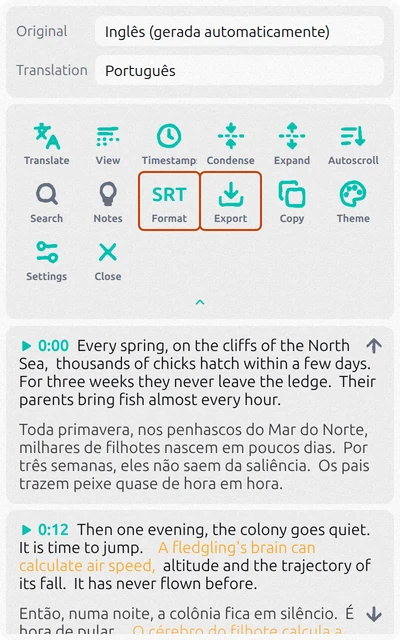 Painel do Subtitles Tool com legenda em inglês, tradução para o português e os botões Formatar e Exportar destacados