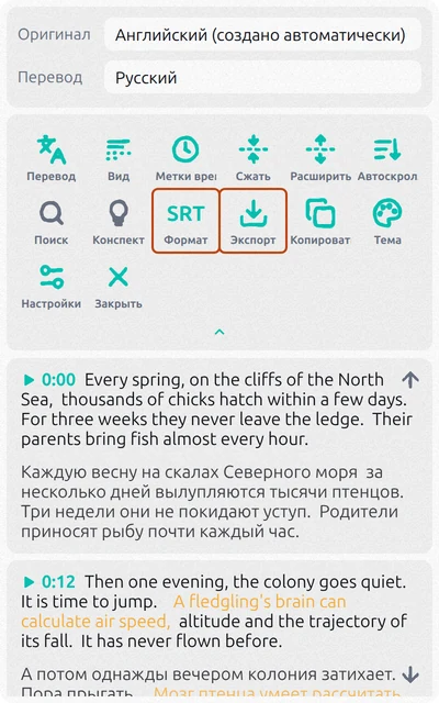 Панель Subtitles Tool с английскими субтитрами, переводом на русский и выделенными кнопками Формат и Экспорт