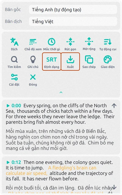 Bảng Subtitles Tool với phụ đề tiếng Anh, bản dịch tiếng Việt và hai nút Định dạng, Xuất được đánh dấu