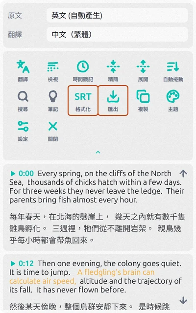 Subtitles Tool 面板：英文字幕下方有中文翻譯，格式化和匯出按鈕已標示