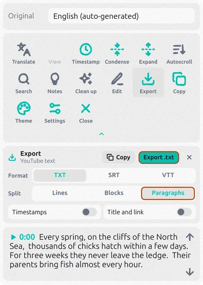 Transcript for YouTube export panel with TXT and Paragraphs selected and Timestamps turned off