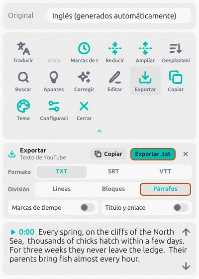 Panel de exportación de Transcript for YouTube con TXT y Párrafos elegidos y Marcas de tiempo desactivadas