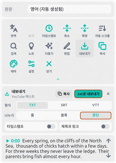 TXT와 문단이 선택되고 타임스탬프가 꺼진 Transcript for YouTube 내보내기 패널