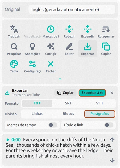 Painel de exportação do Transcript for YouTube com TXT e Parágrafos escolhidos e Marcas de tempo desligadas