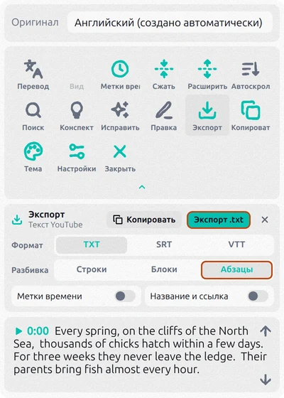 Панель экспорта Transcript for YouTube: выбраны TXT и «Абзацы», метки времени выключены