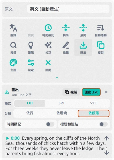 Transcript for YouTube 匯出面板：已選 TXT 和依段落，時間戳記已關閉