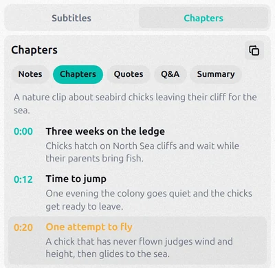 Chapters tab with start times, chapter titles and the current chapter highlighted