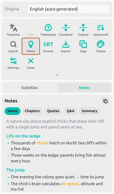 Subtitles Tool panel with the Notes button highlighted and AI notes of the video on the Notes tab