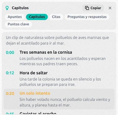 Capítulos del video con minutos de inicio, títulos y el capítulo actual resaltado