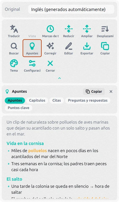 Panel de Transcript for YouTube con el botón Apuntes resaltado y los apuntes del video hechos por IA