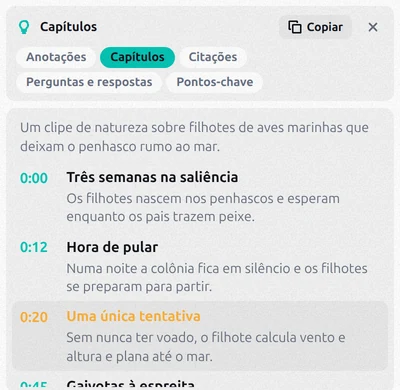 Capítulos do vídeo com minutos de início, títulos e o capítulo atual destacado