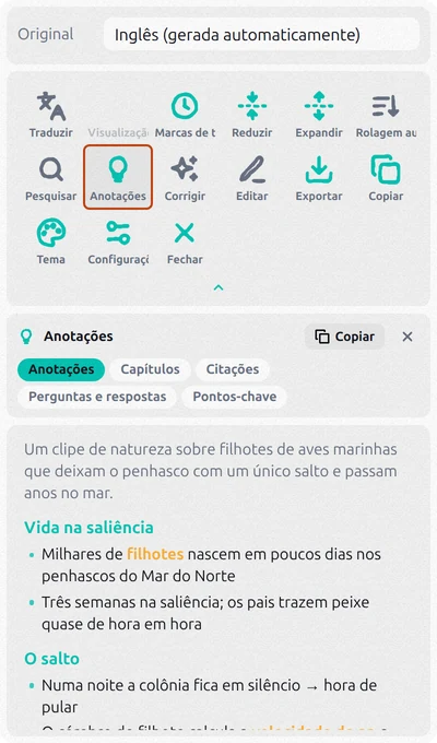 Painel do Transcript for YouTube com o botão Anotações destacado e as anotações do vídeo feitas por IA