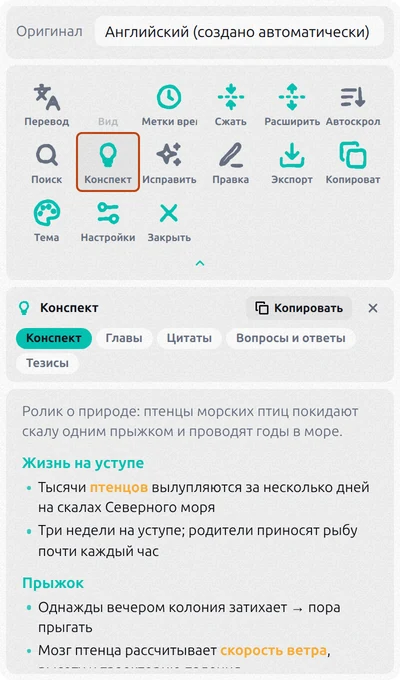 Панель Transcript for YouTube с выделенной кнопкой «Конспект» и ИИ-конспектом ролика на месте субтитров