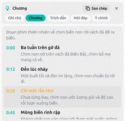 Các chương của video với thời điểm bắt đầu, tên chương và chương hiện tại được làm nổi bật