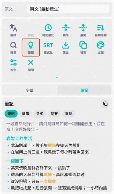 Subtitles Tool 面板：筆記按鈕已標示，筆記分頁裡是 AI 整理的影片筆記