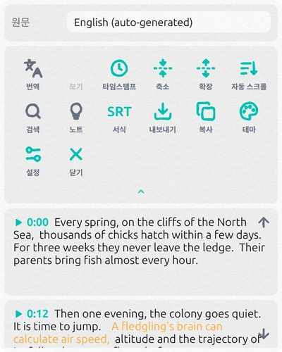 스크립트 위에 복사, 내보내기, 서식, 타임스탬프 버튼이 있는 Subtitles Tool 패널