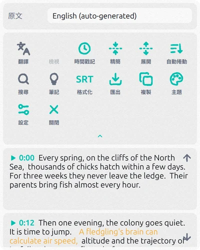 逐字稿上方有複製、匯出、格式化和時間戳記按鈕的 Subtitles Tool 面板